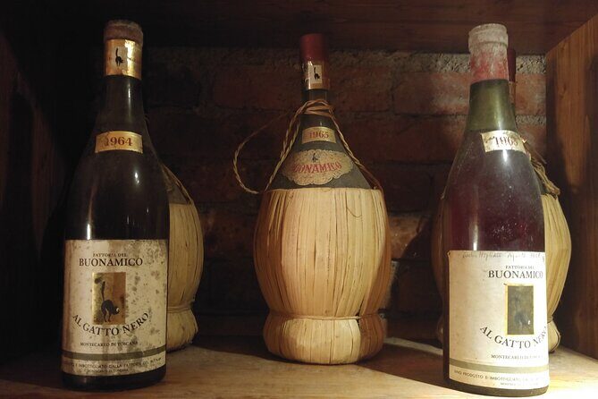 Wine tour and lunch in Lucca area - A Deep Dive into the Lucca Wine Tour