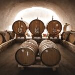 Wine Tour and tasting in the Monferrato - Premium - Price Versus Value