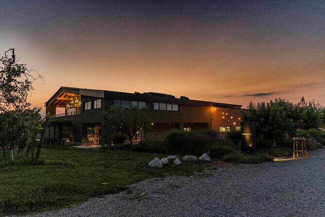 Wine Tour and Tasting of Lugana Wines in Desenzano - Authentic Reviews from Participants