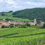 Wine tour in Pouilly Fuissé - Walking in the Vines and Learning about Vineyard Practices
