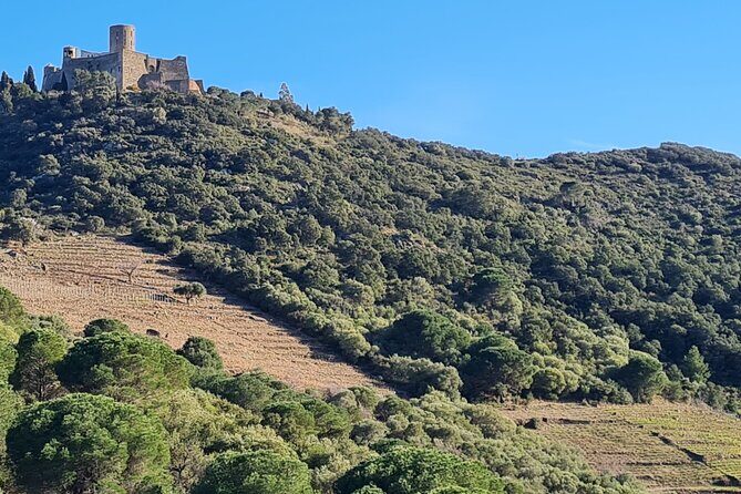 Wine Tour in Roussillon: Picnic & Tasting Day - Logistics and What It Means for You