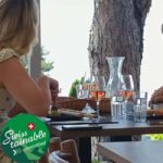 Wine tour in the canton of Vaud - Lavaux vineyards - Practical Details and What to Expect