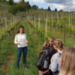 Wine Tour of two Chianti wine estates on the hills of Florence - How Do the Reviews Shape Our Perception?