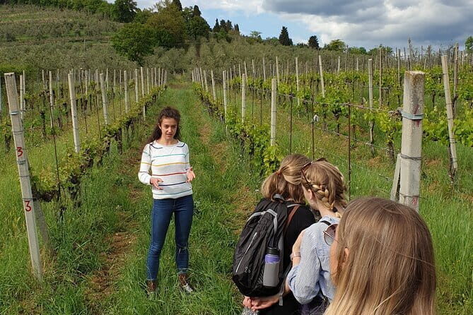 Wine Tour of two Chianti wine estates on the hills of Florence - How Do the Reviews Shape Our Perception?