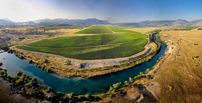 WINE TOUR: Recommended for hedonists! - The Experience in Detail