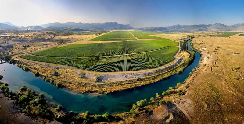 WINE TOUR: Recommended for hedonists! - The Experience in Detail