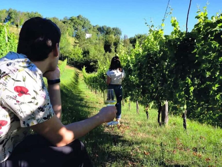 Wine Tour & Tasting of 6 Wines  Le Macchie, near Rome - Who Is This Tour For?