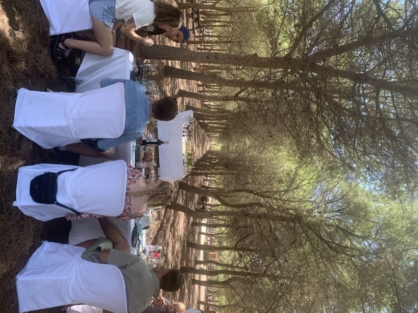 Wine Tour through the vineyards with tasting by Salt Lake - Who Is This Tour Best Suited For?