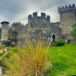 Wine Tour Transportation Services in Napa Valley - Cost & Value Analysis