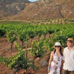 Wine tour valley of guadalupe - A Closer Look at the Wine and Beer Tour Experience