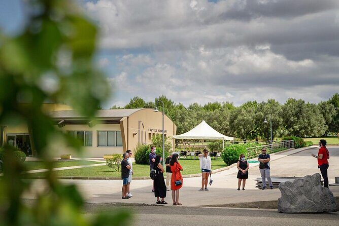 WINE TOUR with sommelier in a winery near Cagliari - Why This Tour Works Well