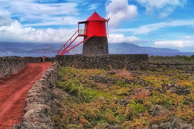 Wine Tour - The Real Traveler Insights