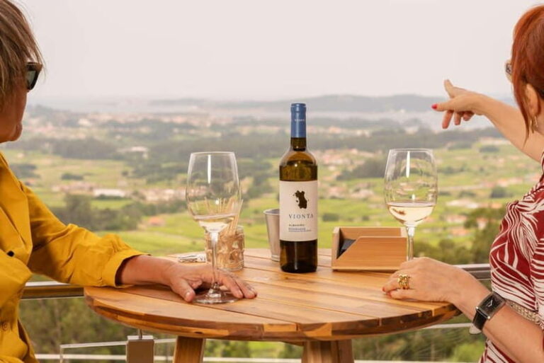 Winery in Rías Baixas with the best views of the Salnés Valley. - Is This Tour Family-Friendly?