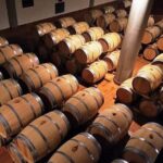 Winery tasting in Marsala and Mothia lagoon tour - The Experience: Authentic, Engaging, and Scenic