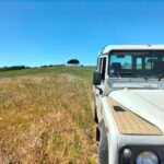 Winery, Tastings & 4WD Vineyards: Half-Day Trip from Lisbon - The Off-Road Adventure