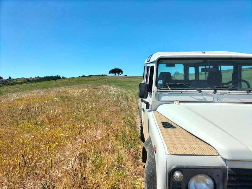 Winery, Tastings & 4WD Vineyards: Half-Day Trip from Lisbon - The Off-Road Adventure