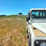 Winery, Tastings & 4WD Vineyards Ride, Half Day Trip from Lisbon - Authentic Feedback from Travelers