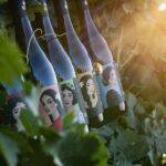 Winery tour and tasting of Sicilian organic wines in Marsala - What to Expect During Your Visit