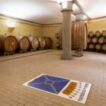 Winery tour and Tuscan wine tasting with culinary specialties - Final Thoughts