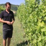 Winery tour and wine, cheese & charcuterie tasting - A Deep Dive into the Experience