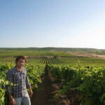 Winery tour in Marsala with wine tasting and local products - What We Think About the Price and Value