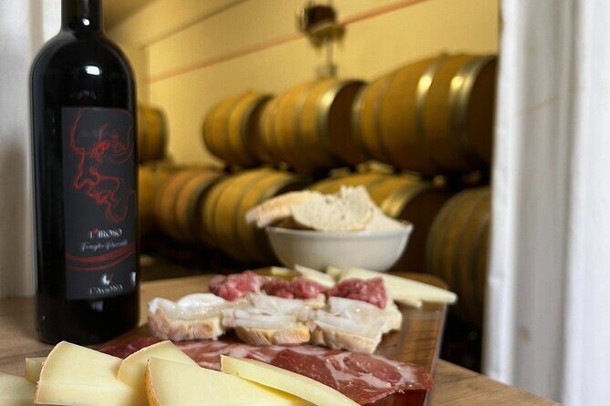 Winery Tour & Tasting in Pisa Countryside - Who Will Love This Experience?