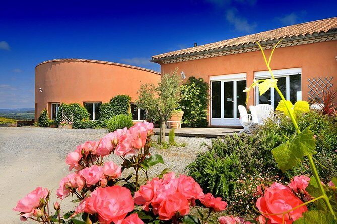 Winery Tour & Wine Tasting - Deli Plate & 3 Wines - What Makes the Tour Special?