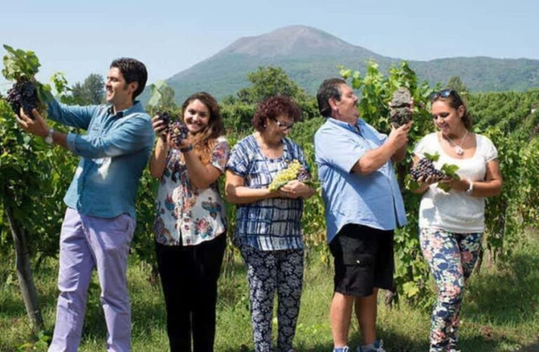 Winery Tour with Organic Wine Tasting & Lunch near Pompeii - The Experience in Detail