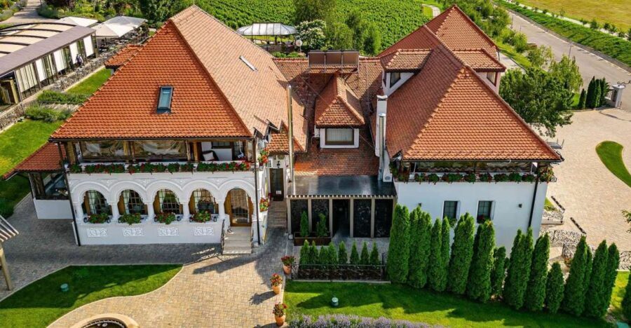 Winery touring & private wine tasting - one day private tour - An In-Depth Review of the Experience