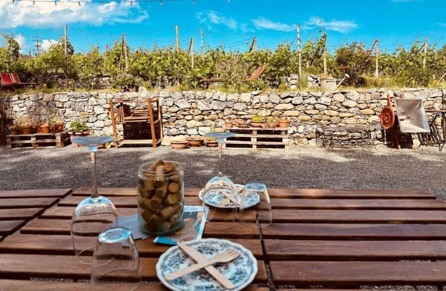 Winery & Vineyard Tour with Wine Tasting & Food in Albenga - Final Thoughts