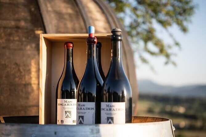 Winery visit / tasting in the vineyards, Mas des Escarades - Authenticity and Reviews