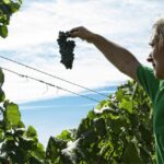 Winery Visit & Tasting near Grosseto with 6 wines - What to Expect from the Tour