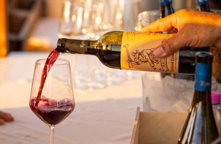 Winery Visit with Wine & Food Tasting near Ravenna - Delving into the Details