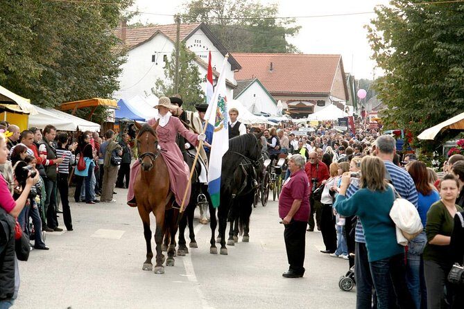 Winetaste in Villany, and visiting Pécs, on a private tour - What Makes This Tour Worth It?