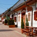 Winetaste in Villany, sightseeing in Pécs, private tour - How the Experience Feels in Practice