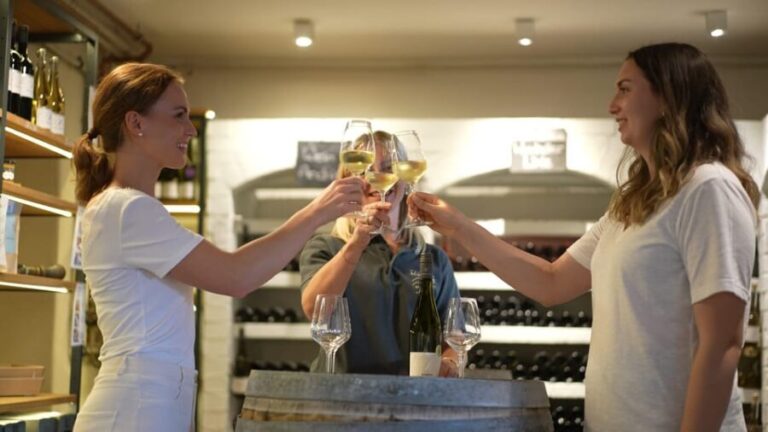 Winetasting / Weinprobe Koblenz - Who Will Love This Experience?