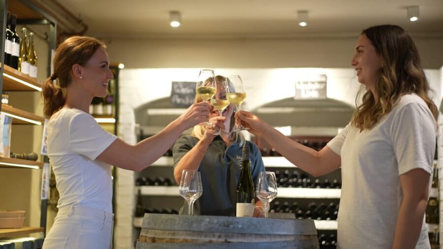 Winetasting / Weinprobe Koblenz - Who Will Love This Experience?