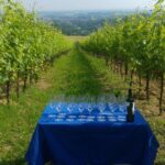 Winetour and tasting on Bologna hills, guided by the wine grower - The Value of This Experience