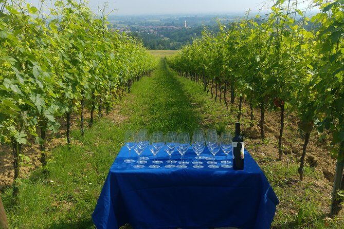 Winetour and tasting on Bologna hills, guided by the wine grower - The Value of This Experience