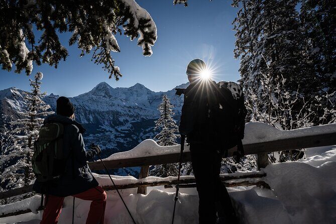 Winter Alpine Adventure - What Travelers Are Saying