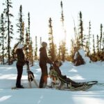 Winter Dog Sled Tour: Day or Night. - The Value of This Dog Sled Experience