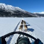 Winter Dog Sledding in Fairbanks - The Trail and Views