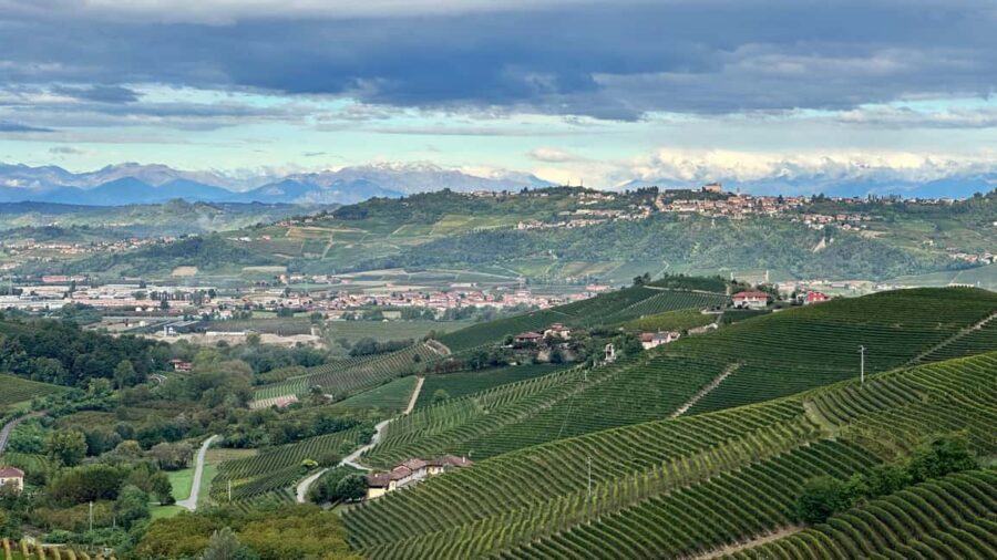 Winter Olympics 2026 Private UNESCO Wine Tour from Milan - Is This Tour Worth the Price?