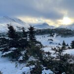 Winter Snowshoeing Adventure - Wildlife and Nature