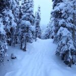 Winter Valley and Forest Hike - The Sum Up: Is It Worth It?