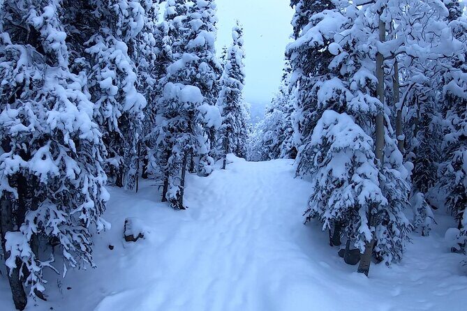 Winter Valley and Forest Hike - The Sum Up: Is It Worth It?