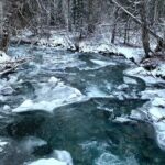 Winter Waterfall Walk - Why You Should Consider This Tour