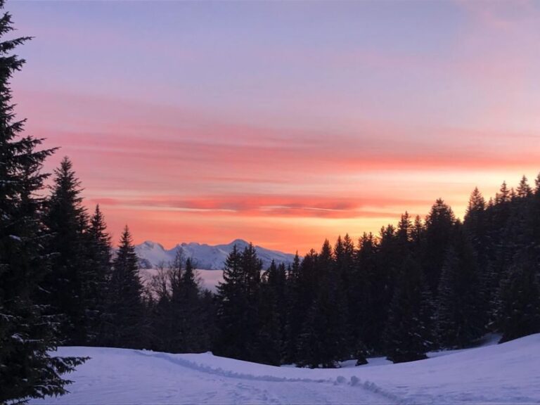 Winter Wonderland Expedition, Snowshoe Journey into the wild - The Route and Scenery