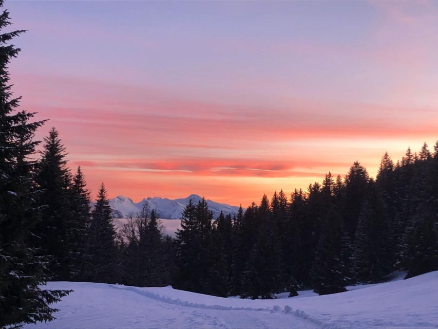 Winter Wonderland Expedition, Snowshoe Journey into the wild - The Route and Scenery