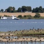 Wismar: Harbor Sightseeing Cruise - What the Tour Looks Like in Practice